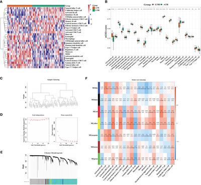 Identification of apoptosis-related gene signatures as potential biomarkers for differentiating active from latent tuberculosis via bioinformatics analysis